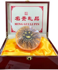 Đông trùng hạ thảo Tây Tạng thiên nhiên nguyên con 20g
