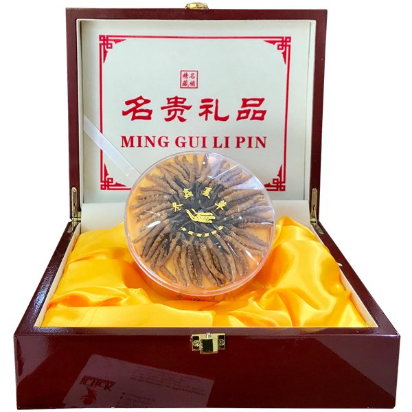 dong-trung-ha-thao-tay-tang-thien-nhien-nguyen-con-20g