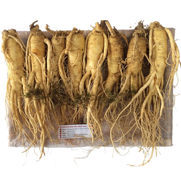 nhan-sam-tuoi-han-quoc-loai-8-cu-1-kg